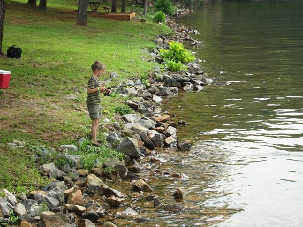 3. Aspiring Anglers